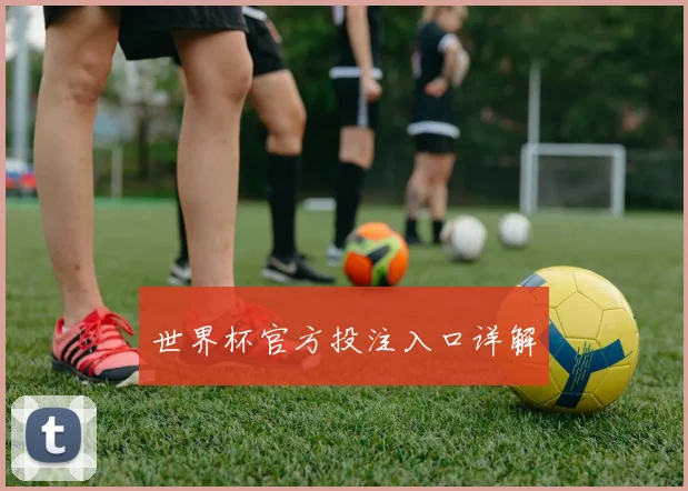 世界杯官方投注入口详解