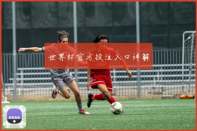 世界杯官方投注入口详解