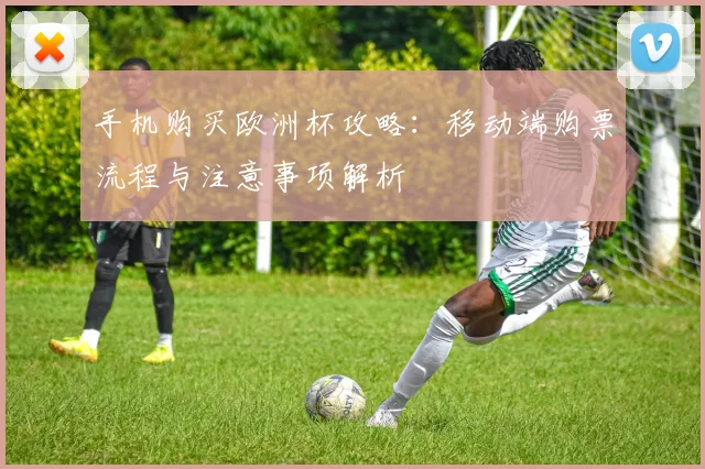 手机购买欧洲杯攻略:移动端购票流程与注意事项解析