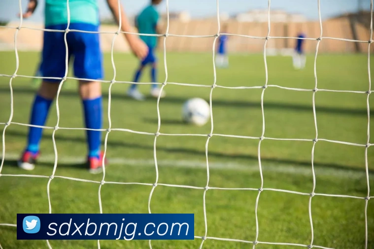 App Interface Preview