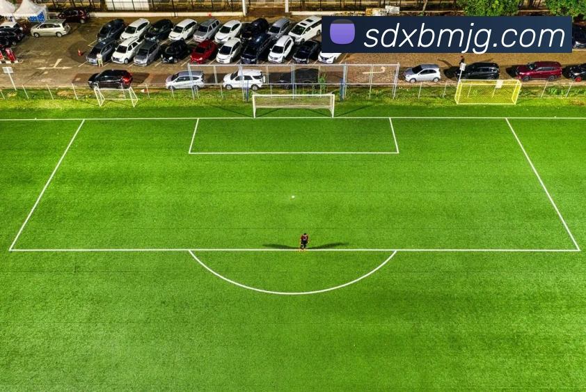 世界杯平台官网登录APP 封面图